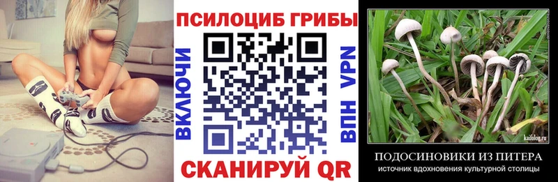 Псилоцибиновые грибы прущие грибы  Спас-Деменск 