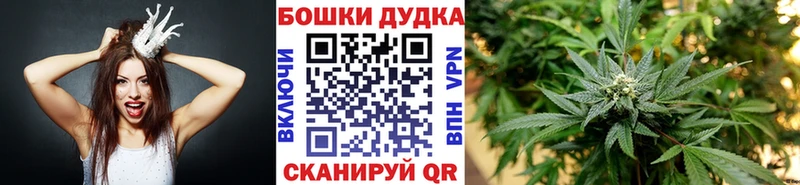 Марихуана сатива  Спас-Деменск 